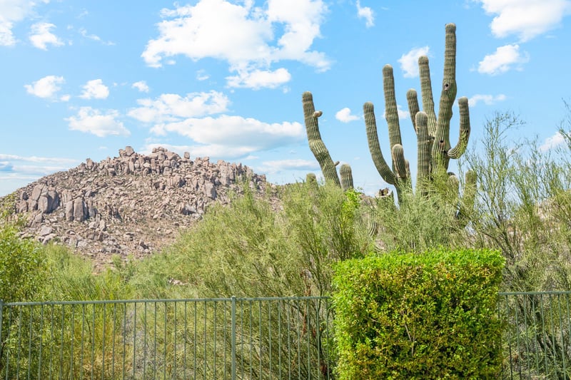 Desert Views