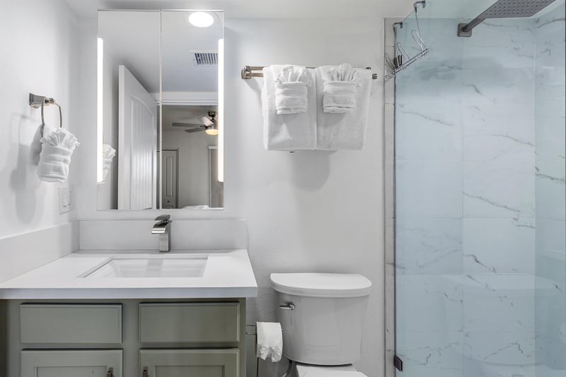 Guest bathroom