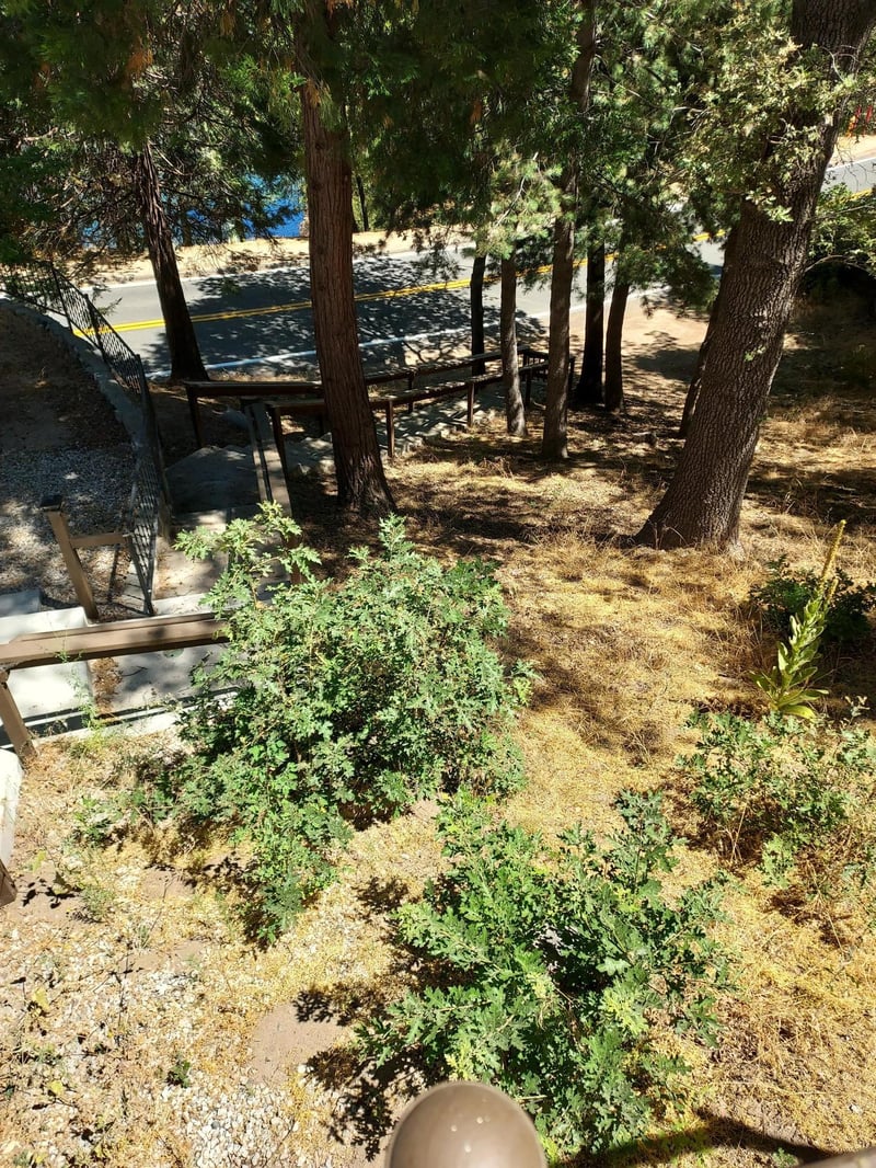 Additional view of stairs leading down to the street.