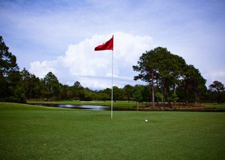 6585 13301556_10154235657138799_2494637004063444562_o450x321