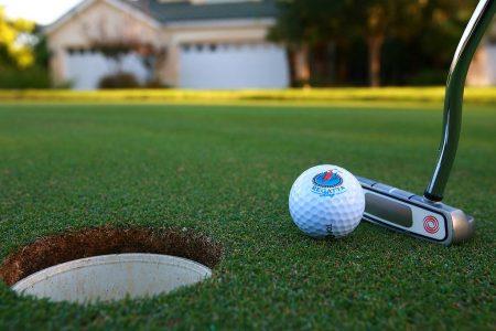 6590 465245_446923175392729_208458708_o450x300