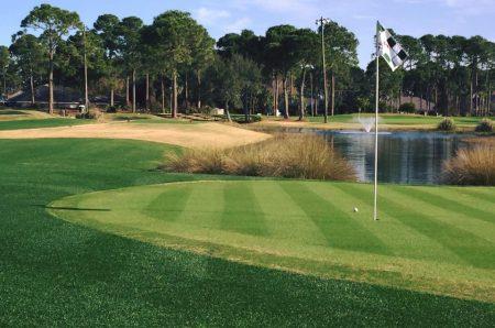 6591 12523987_1160266547317531_3214702456201269054_n1450x298