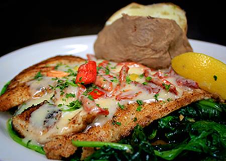 6646 Harbordocks_fish1