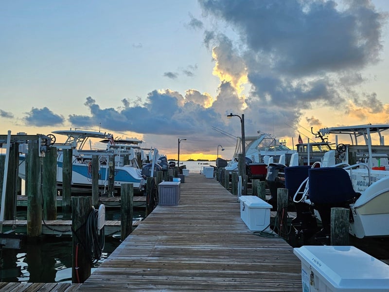 Boats docked at Dauphin Island Marina in Florida