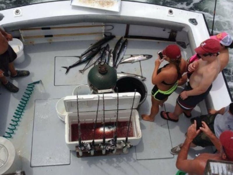 Anglers on the back of Hey Boy II in Orange Beach, Alabama