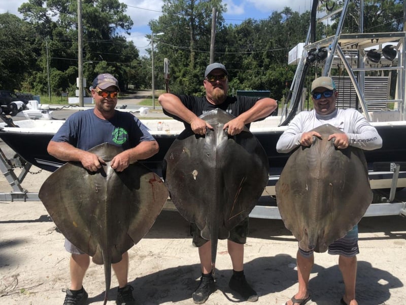 A group with their stingrays in Apalachicola, Florida