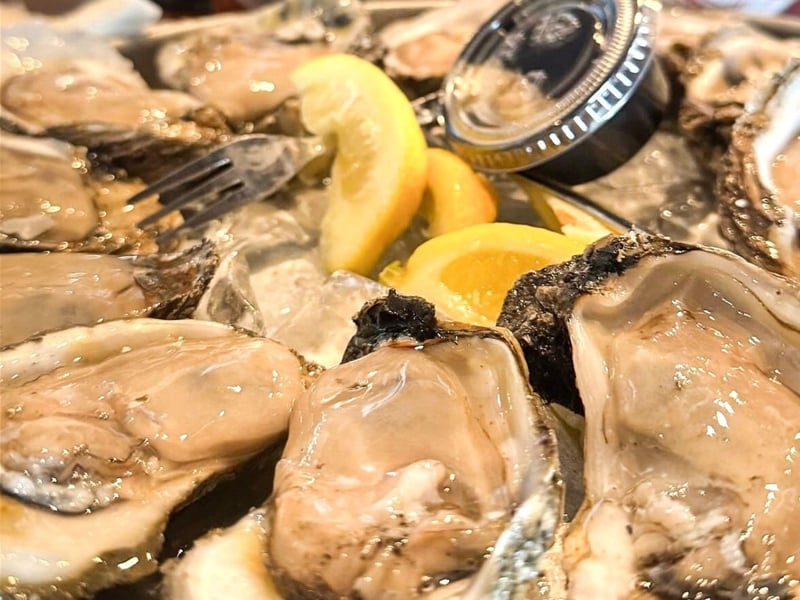 Fresh oysters at The Back Porch