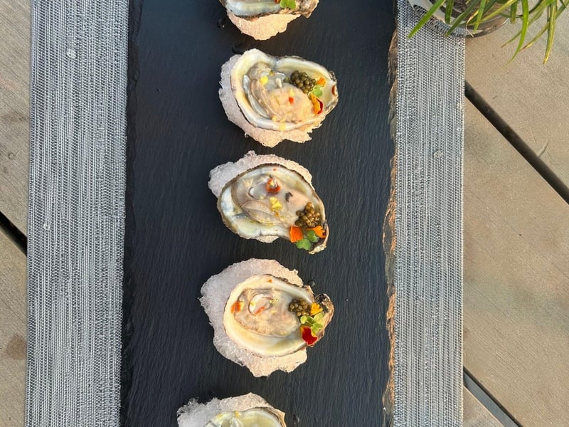 Oysters at Beach House Social Bar and Grille