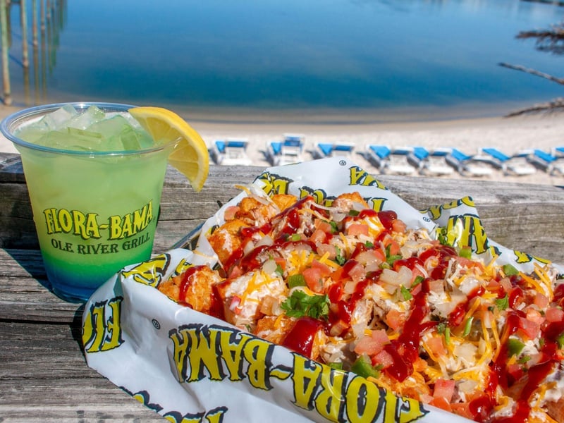 Loaded tots with pulled pork