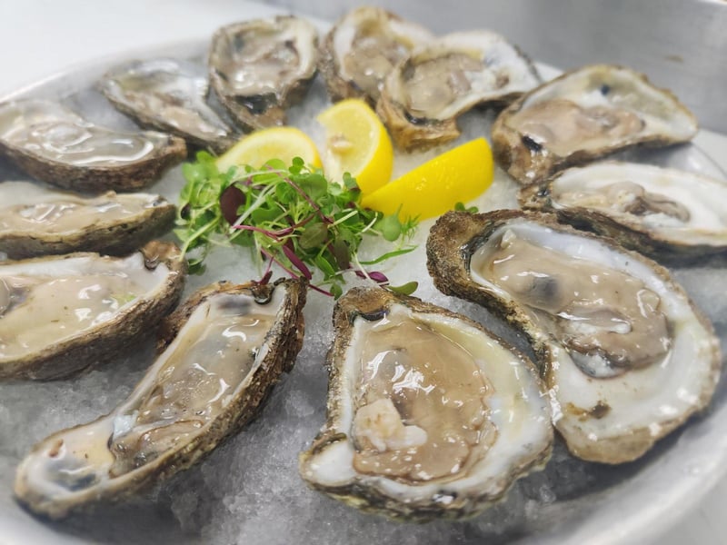 Chesapeake Bay Oysters