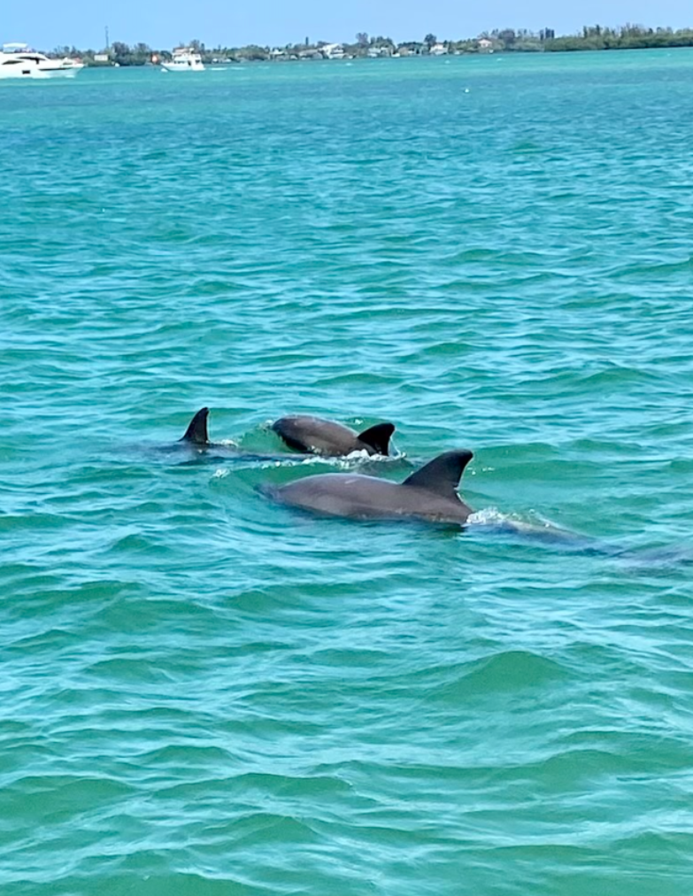 Experiences are fully customizable