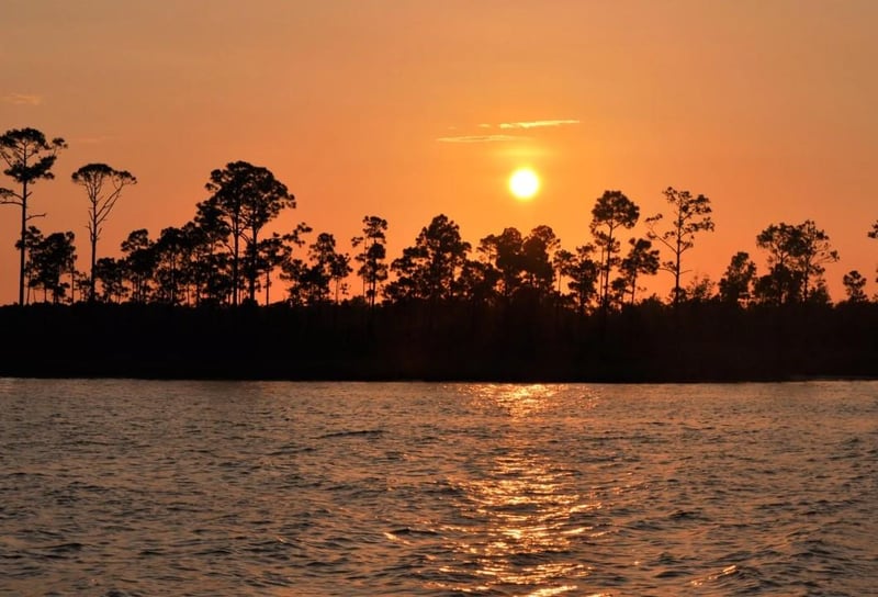 sunset over the water with trees along the shoreline in Orange Beach, Alabama