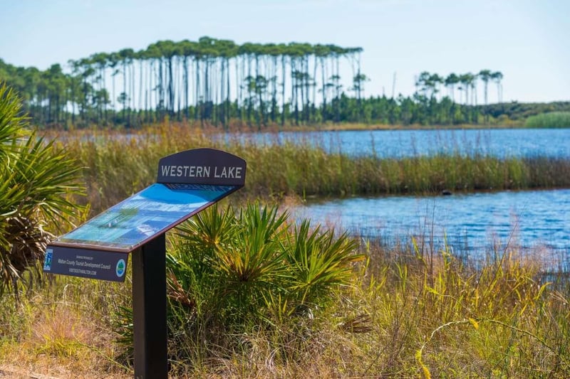 Western Lake interpretive sign overlooking marsh grasses and clear water at Grayton Beach State Park