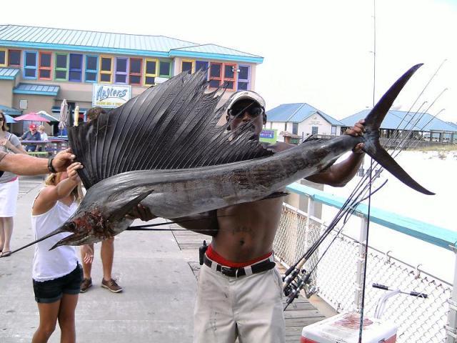 Fisherman holding large sailfish catch on Okaloosa Island Pier with people and shops in background