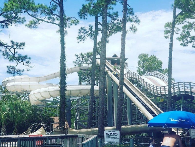 Tall water slides winding through trees at Shipwreck Island Waterpark in Panama City Beach