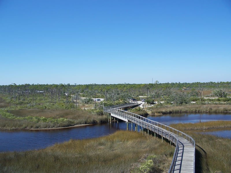 Elevated boardwalk over marshland at Big Lagoon State Park Pensacola Florida