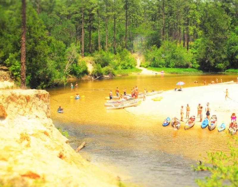People kayaking and tubing on Blackwater River with white sand banks