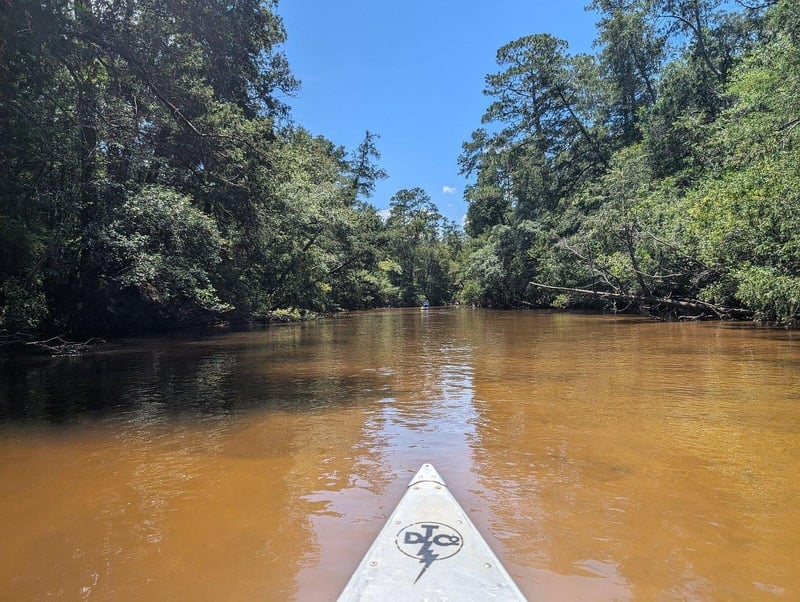 Kayak view paddling down Blackwater River surrounded by trees