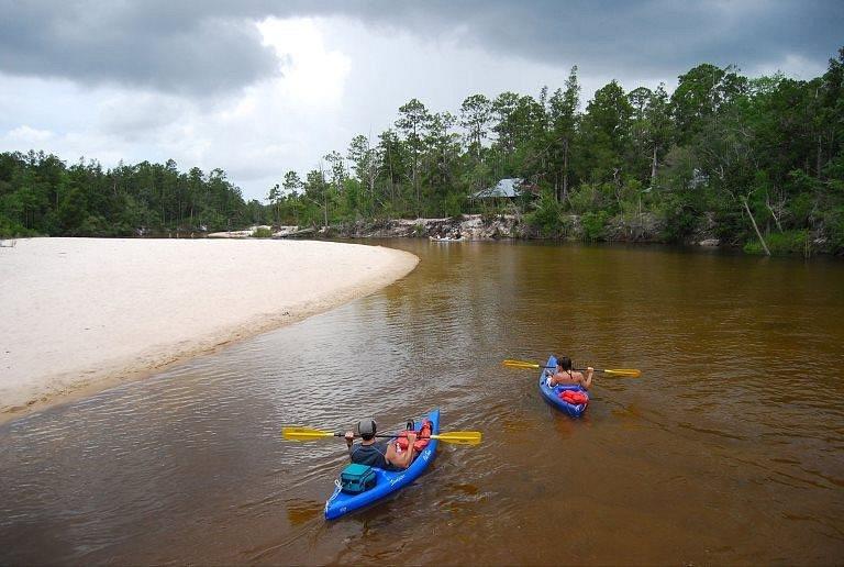 Kayakers floating along Blackwater River near sandy shoreline