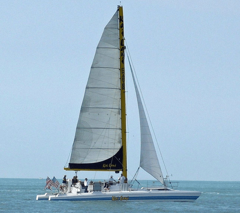 1361440 Catamaran Sailing On Open Water