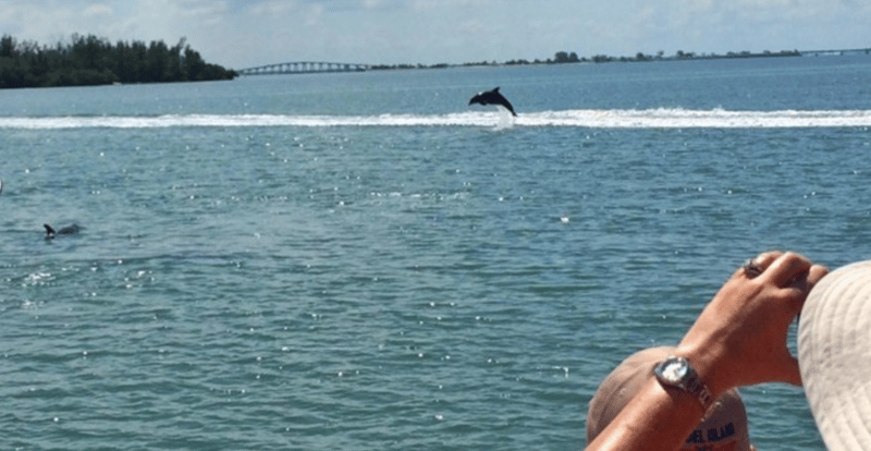 Experience the beauty and wildlife of Southwest Florida by boat.