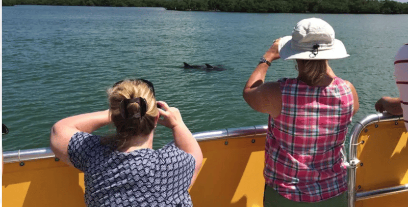Cruise through beautiful coastal waters with family and friends