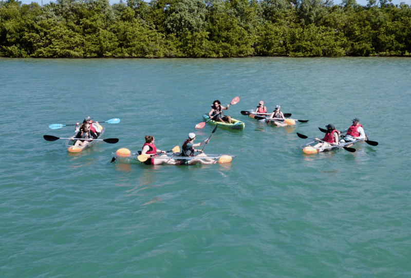 Group kayaking through calm waters