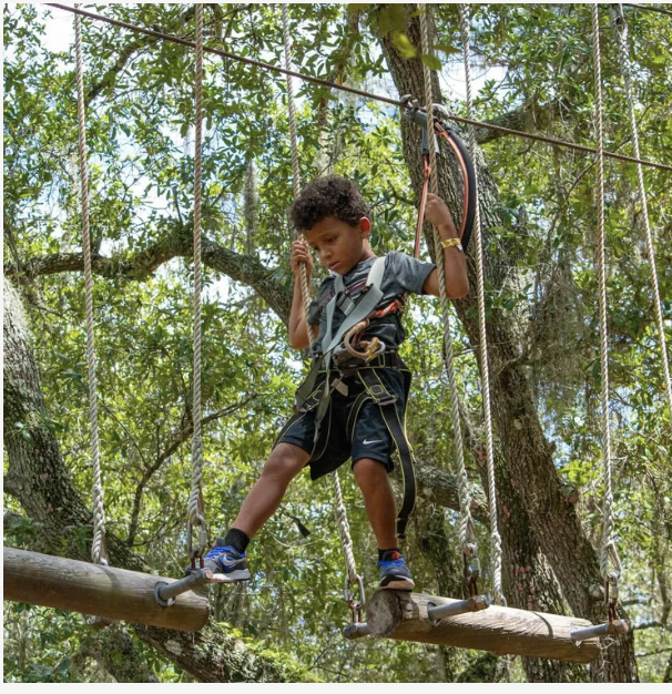 1365126 Guests Enjoying An Outdoor Aerial Adventure Course