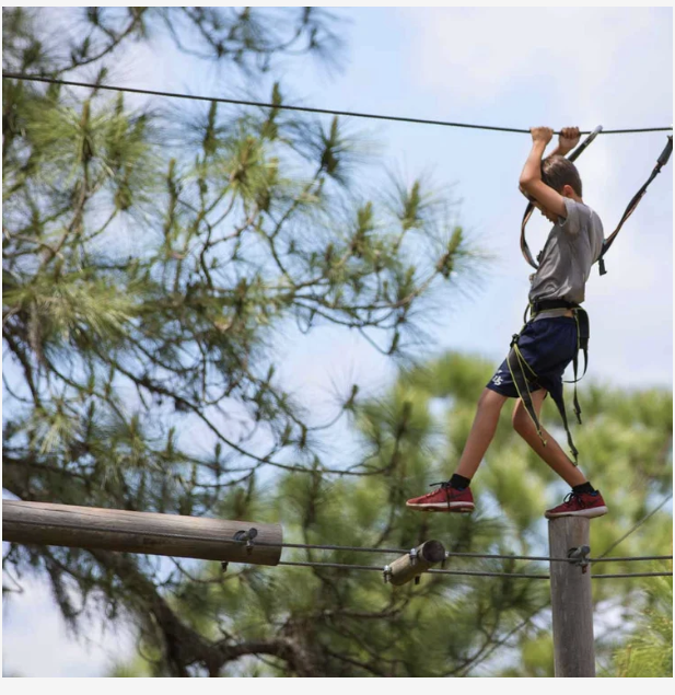 Guests navigating high ropes and climbing obstacles
