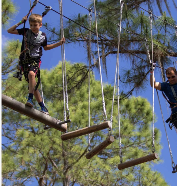 Scenic forest adventure with elevated obstacle courses