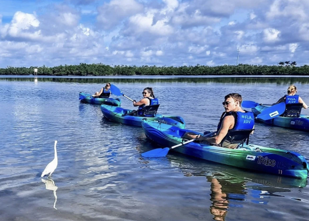 Guided ecotour exploring the calm coastal waters near Marco Island