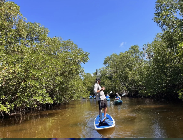 Peaceful kayaking adventure surrounded by tropical Florida nature