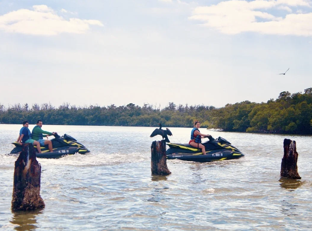 Wildlife spotting during a water adventure tour