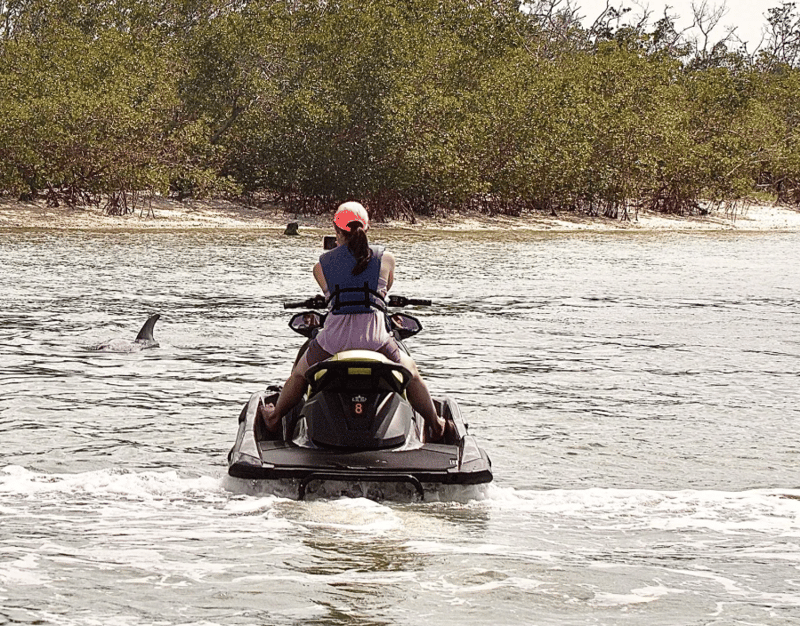 Recreational jet skiing experience in a coastal nature area