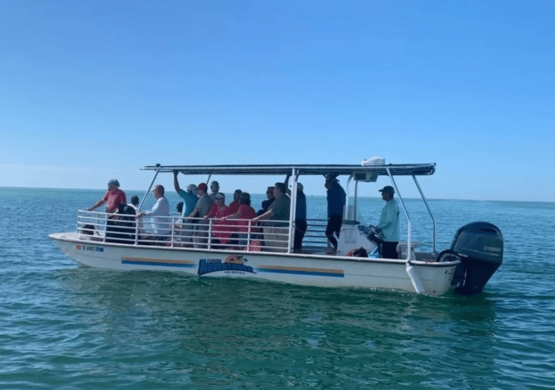 Tour guests watching dolphins from the boat deck