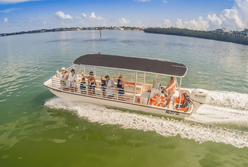 Tour guests waving from a boat during a coastal dolphin tour