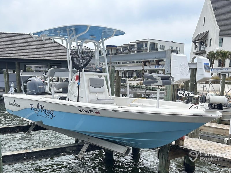 Reel Krazy fishing charter in Orange Beach, AL
