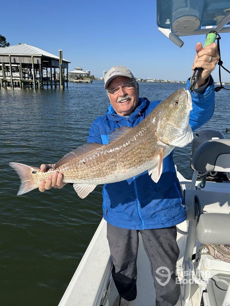 Redfish caught on the Reel Krazy in Orange Beach