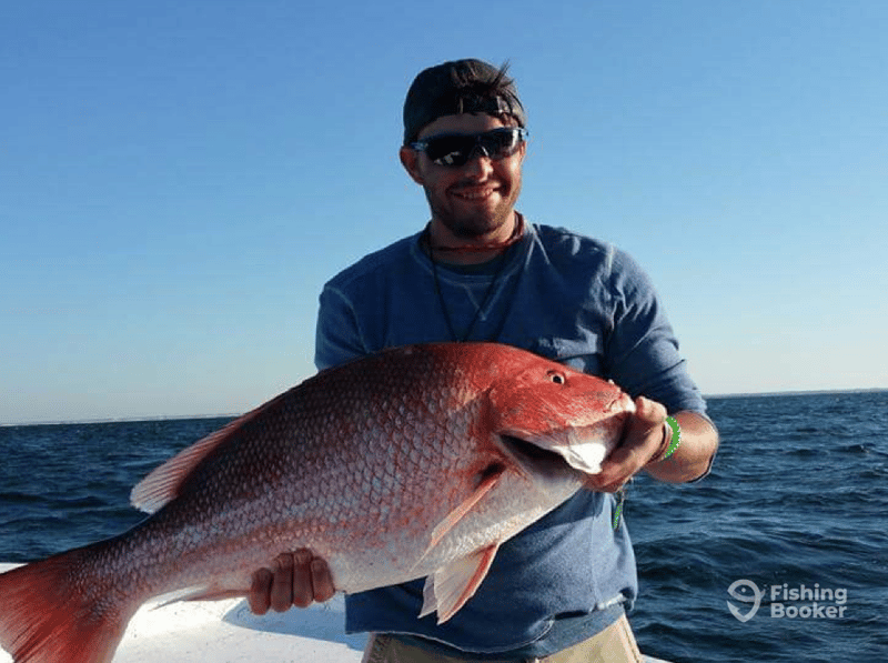 Catch some Red Snapper with Emerald “C” Fishing Charters.