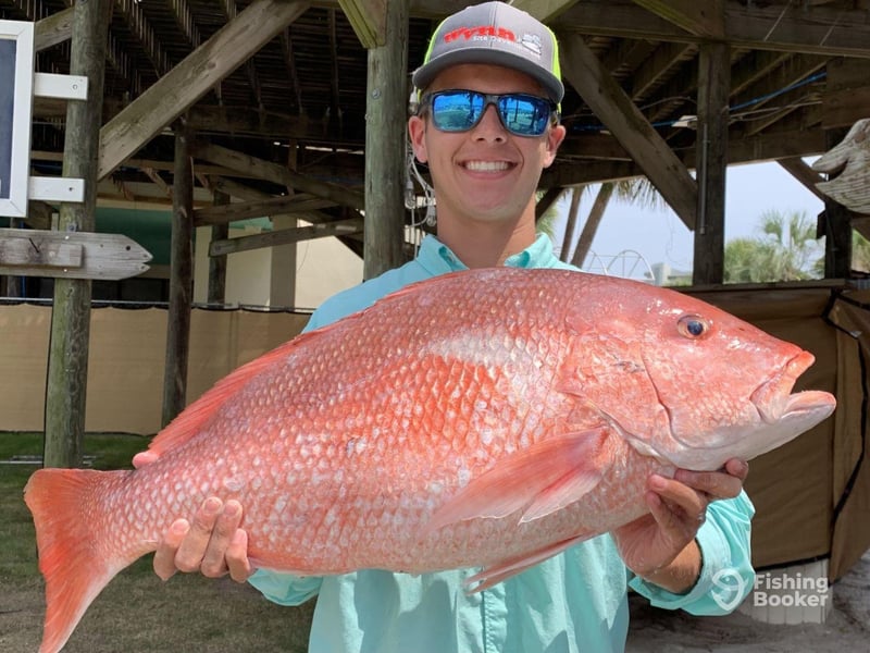 Snapper caught aboard the Jamie G