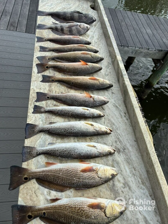 Bama Bandit Sport Fishing