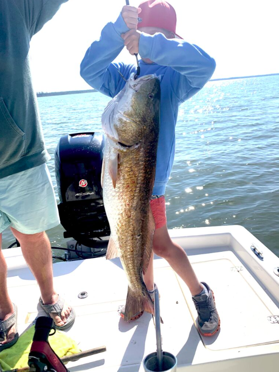 Bama Bandit Sport Fishing