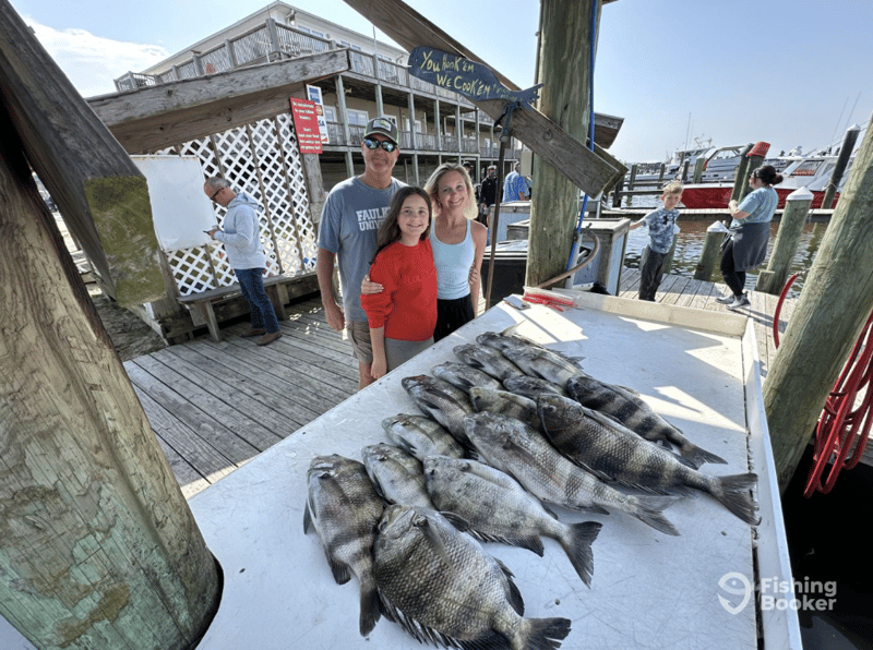 Catches include Redfish, Flounder, Sheepshead, Mangrove Snapper, Red Snapper, Spanish Mackerel, Flounder, Jack Crevalle, Speckled Trout, and Black Drum.