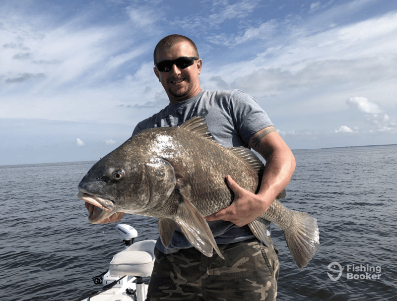 Catches can include Amberjack, Cobia, Flounder, Redfish, Blacktip Shark, Sheepshead, Mangrove Snapper, Red Snapper, Vermillion Snapper, and Speckled Trout.