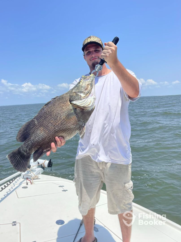 Catches can include Black Drum, Cobia, Mahi Mahi, Flounder, Ladyfish, Redfish, Scallop, Bull Shark, Sheepshead, Spanish Mackerel, Speckled Trout, Tripletail