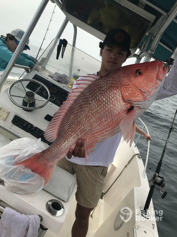 Come out on the water with Captain Maxwell and catch some Red Snapper