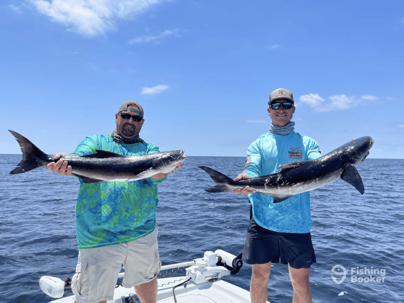 Catches can include Black Drum, Cobia, Flounder, Gag Grouper, Kingfish, Pompano, Redfish, Blacktip Shark, Red Snapper, Speckled Trout, Tarpon, Tripletail and more