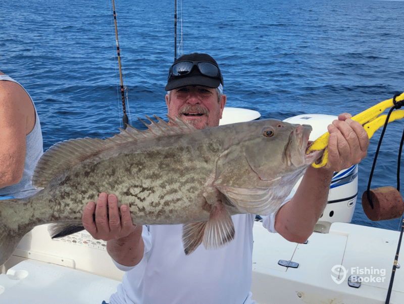 Catches can include Amberjack, Cobia, Gag Grouper, Gollath Grouper, Kingfish, Black Seabass, Blacktip Shark, Bull Shark, Lane Snapper, Mangrove Snapper, Red Snapper, Vermillion Snapper and more