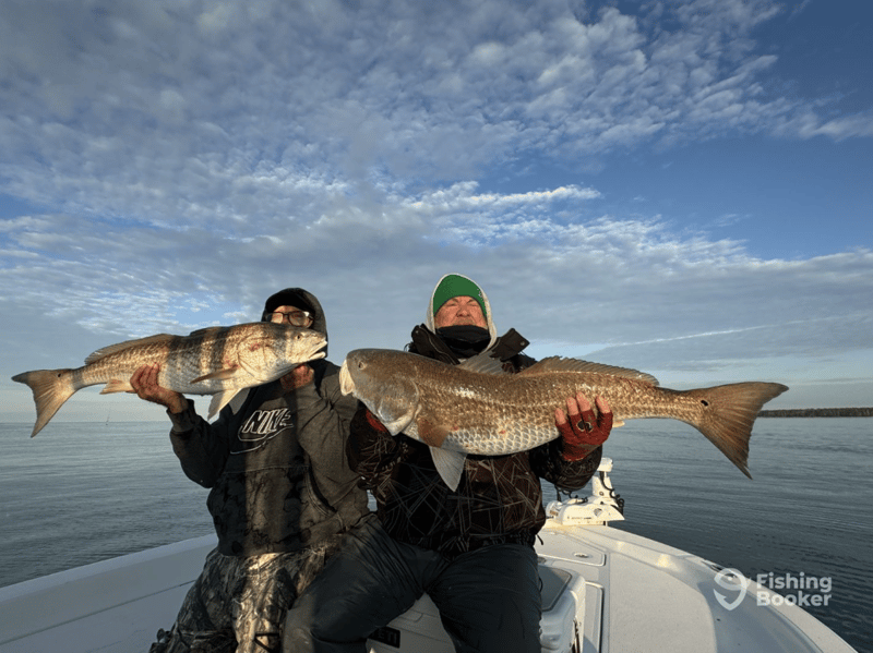 Catches can include Black Drum, Flounder, Pompano, Redfish, Blacktip Shark, Bull Shark, Spanish Mackerel, Speckled Trout, Tarpon, Tripletail, and more