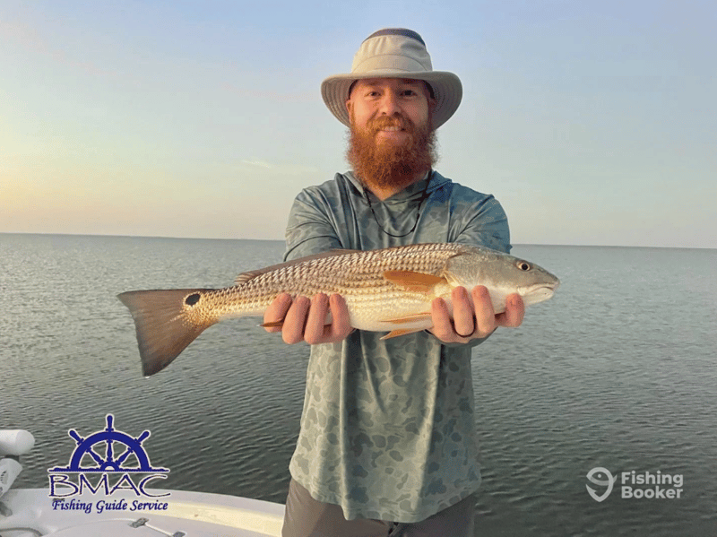 Catches can include Blackdrum, Flounder, Gag Grouper, Redfish, Black Seabass, Speckled Trout, Tripletail, Whiting, and more